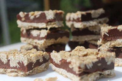 Chocolate Oat Tahini Bars